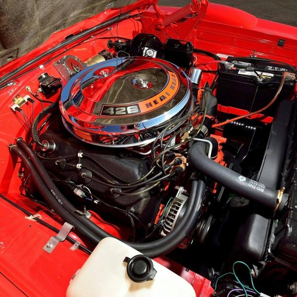 Meet your Posher, Adam - Picture 1 of 1